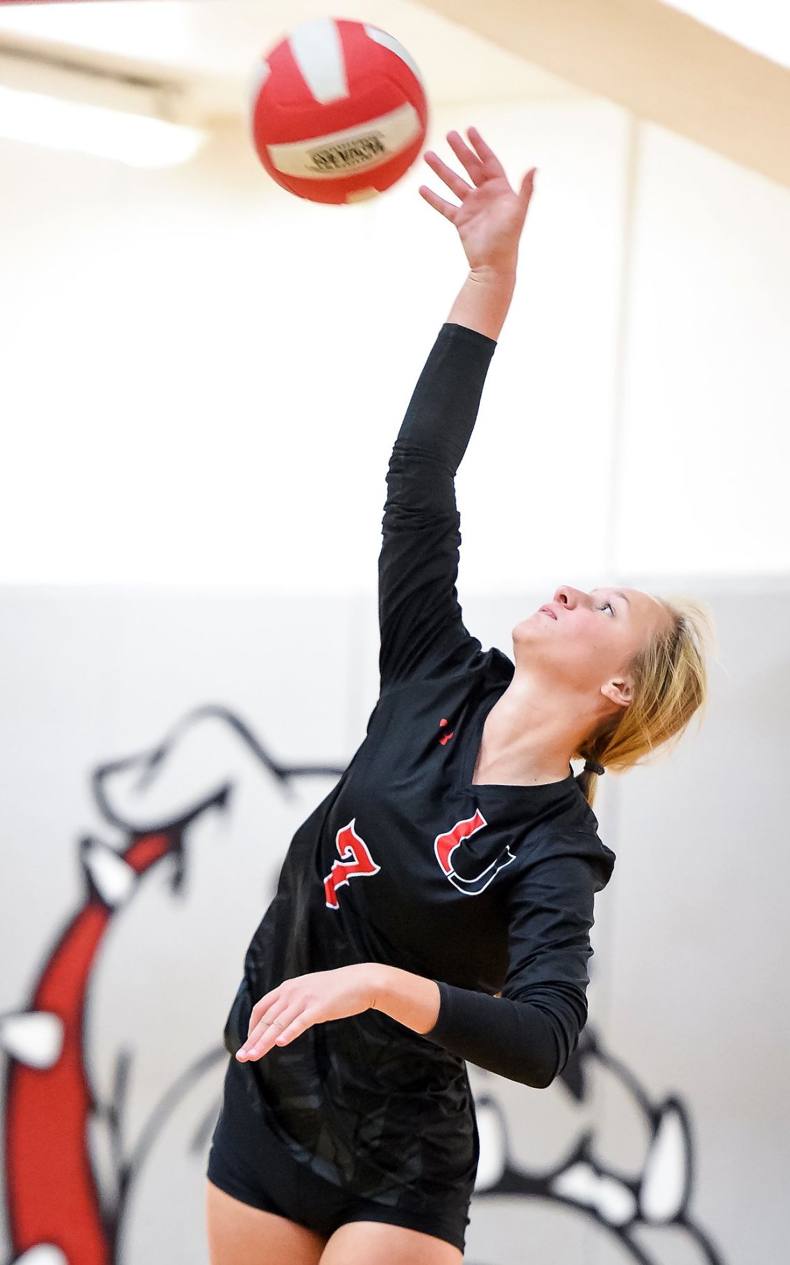 St. Clair vs. Union volleyball